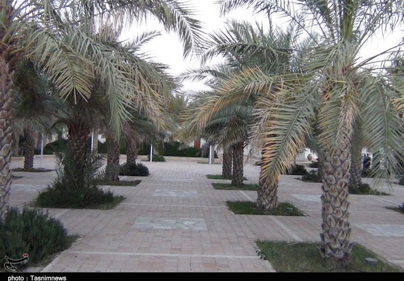 چهاردهمین دوره انتخابات ریاست جمهوری ایران ,