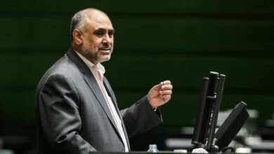 نیکبخت: خرید تضمینی گندم در سال جاری بیش از سالهای قبل خواهد بود