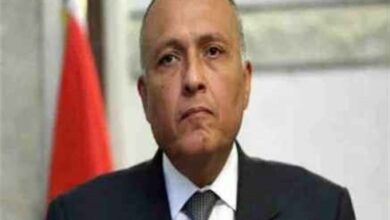 وزیر خارجه مصر: به دنبال آتشبس کامل و دائم در غزه هستیم