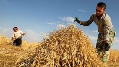 پاداش ۱۰ میلیون تومانی به کشاورزان صرفهجو