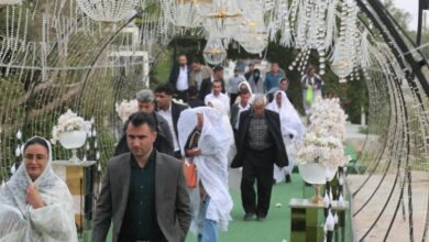 پرداخت 342 میلیارد تومان وام به زوجهای بوشهری