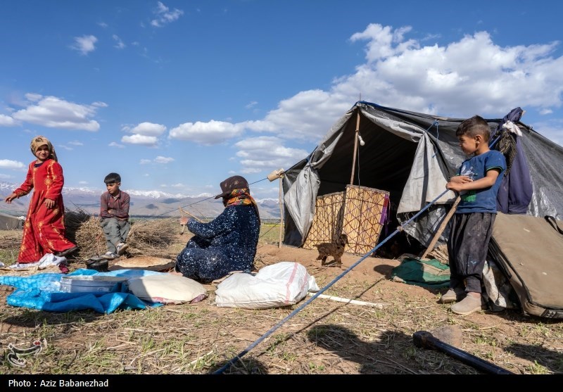 پرداخت 787 میلیارد تسهیلات به عشایر لرستان