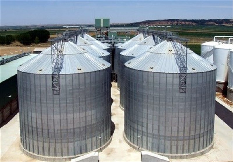 پیشبینی برداشت 2500 تن گندم از مزارع کاشان