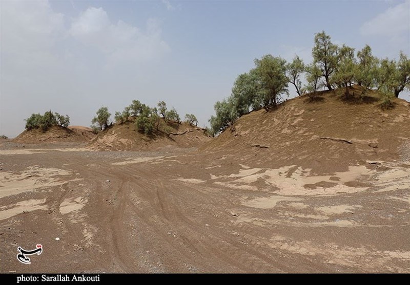 کانون بحرانی فرسایش بادی در 1.2میلیون هکتار بیابانهای کرمان