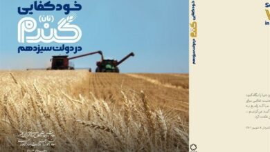 کتاب خودکفایی (نان) گندم در دولت سیزدهم منتشر شد