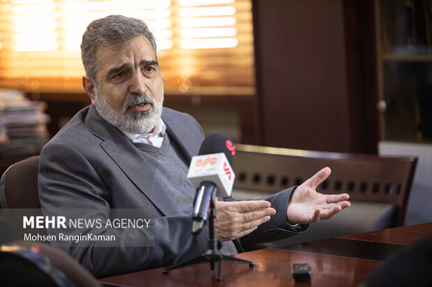 کمالوندی: ایران مقابل فشارهای سیاسی از حقوق خود کوتاه نمیآید
