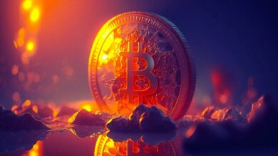 کیفهای پول میلیونر بیتکوین چه میزان است؟