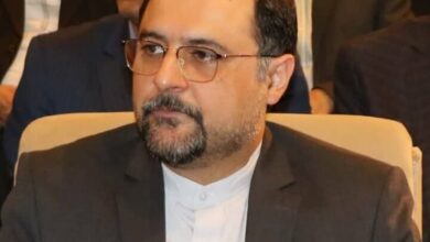 گزارههای پویای مصرف در تغییرات بازار گوشت