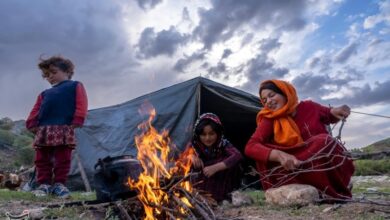 ییلاق دماوند آماده استقرار عشایر/ شبکههای آبرسانی ترمیم شد