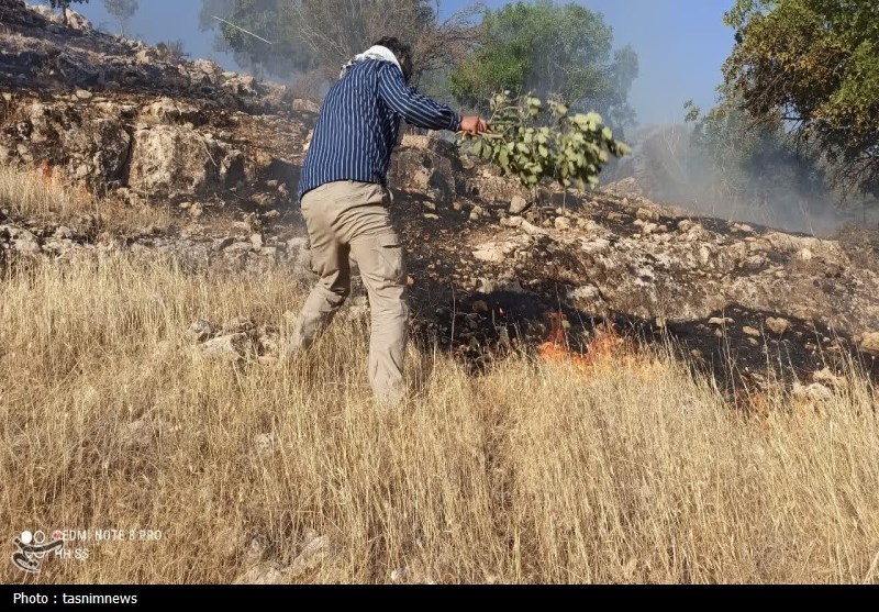 آتش سوزی جنگل ها و مراتع , جنگل ,