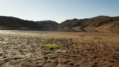 80 درصد آبهای سطحی خراسان رضوی خشک شده است