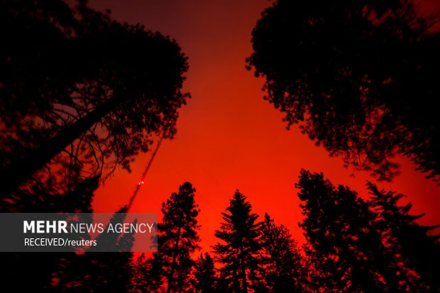 آتش با گذشت یک هفته همچنان در کالیفرنیا زبانه میکشد