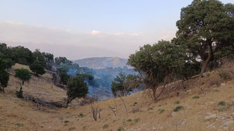 آتش سوزی جنگل ها و مراتع ,