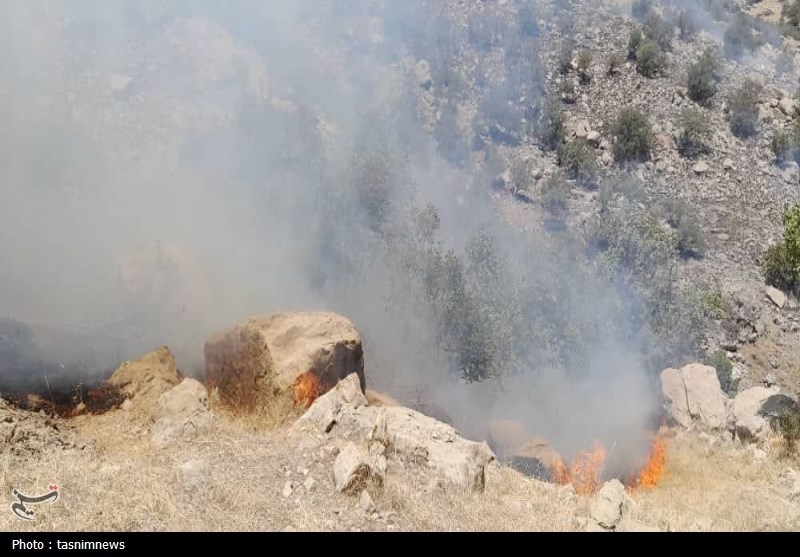 آتش سوزی جنگل ها و مراتع ,