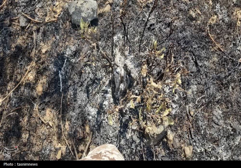 آتش سوزی جنگل ها و مراتع ,