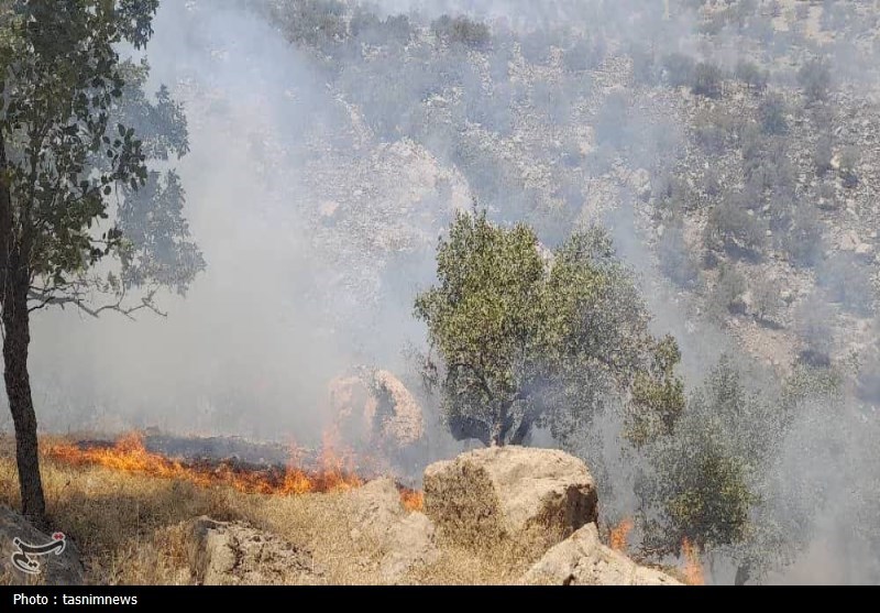 آتش سوزی جنگل ها و مراتع ,