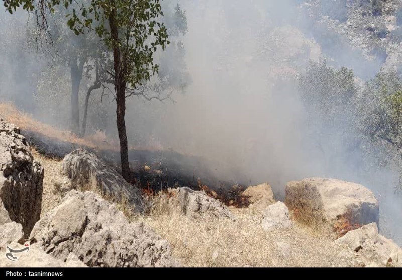 آتش سوزی جنگل ها و مراتع ,