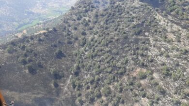 آتشسوزی سیوک مهار شد