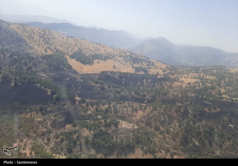 آتش سوزی جنگل ها و مراتع ,