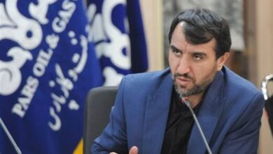 اجرای 130 طرح پتروشیمی؛بهرهبرداری از 20 طرح تا پایان سال