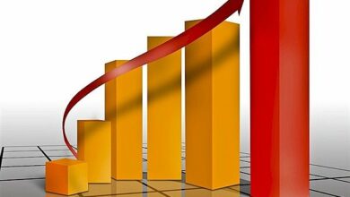 استمرار نرخ رشد در همه بخشها