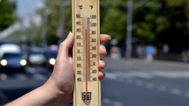 افزایش دما در روزهای آینده؛ هوای قزوین گرم میشود