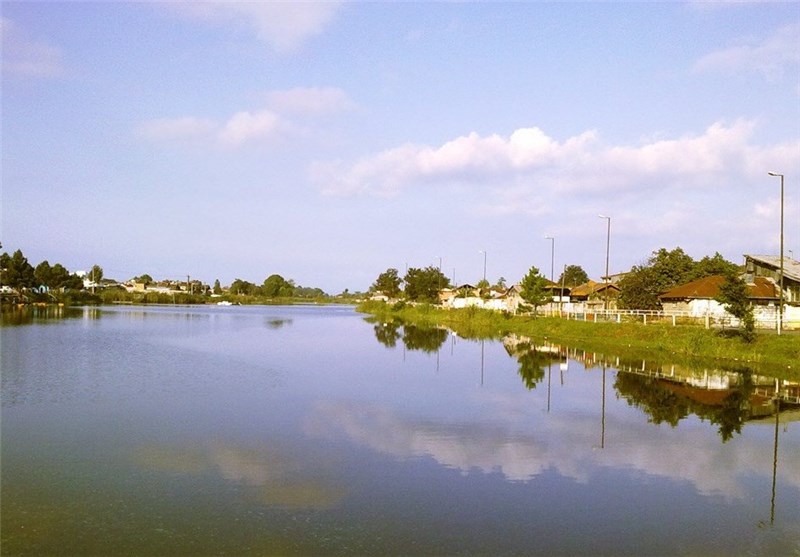 ایجاد کمربند سبز در مجموعه تالاب عینک رشت