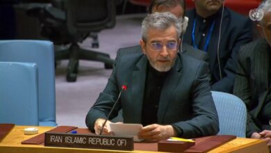 باقری:رویکرد سیاست خارجی دولت جدید ایران تقویت چندجانبهگرایی است