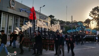 برگزاری مراسم علمگردانی در شهر گناباد+تصویر