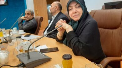 تعجب اعضای حزب کمونیست چین از فعالیت بانوان ایرانی در احزاب