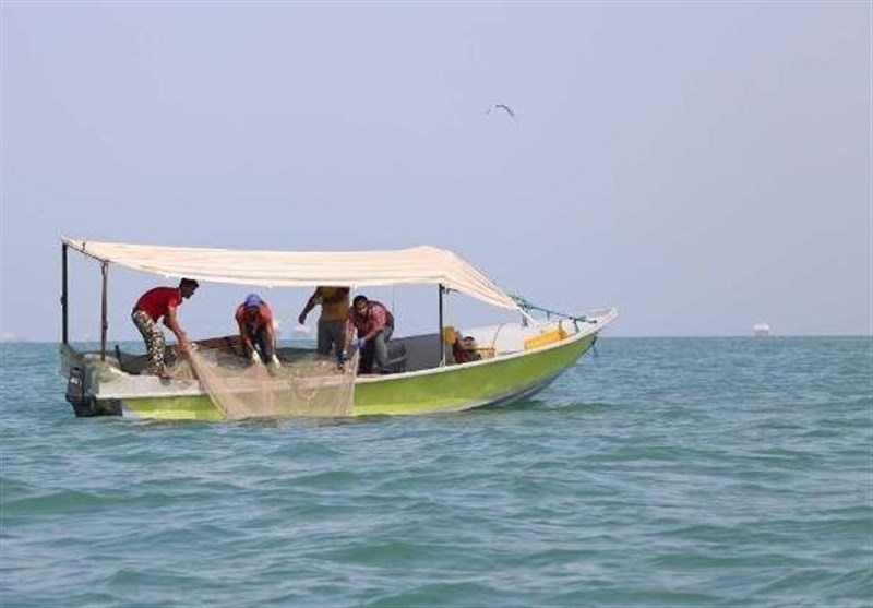 توقیف 5 فروند شناور متخلف صیادی در سواحل بوشهر