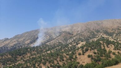 جنگلهای «باشت» همچنان در آتش میسوزد