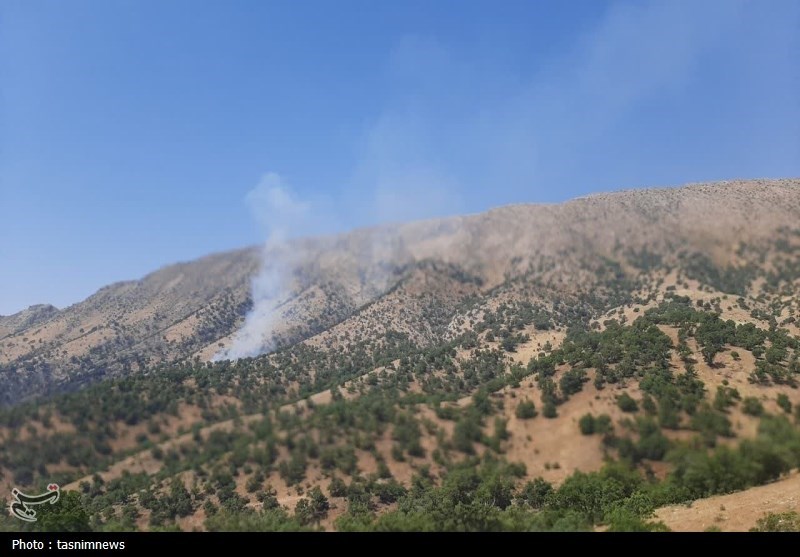 جنگلهای «باشت» همچنان در آتش میسوزد