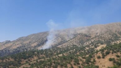 جنگلهای شادگان و دشت لار باشت در آتش میسوزد