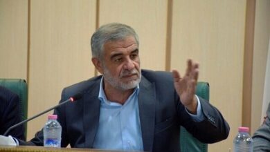 جوکار: زنجیره مودت و دوستی ایجاد شده در عرصه بینالمللی باید در دولت آتی ادامه یابد