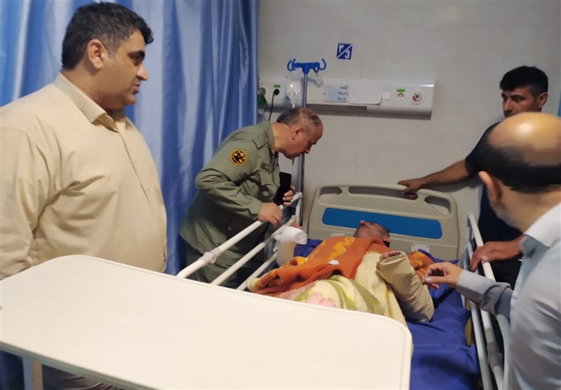 حمله یک خرس به محیطبان گیلانی