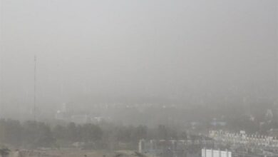 خسارت 83 میلیاردی گرد و غبار به زیرساختهای خراسان جنوبی