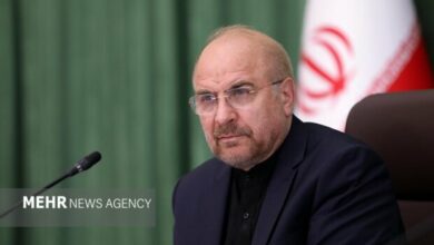 در عاشورا، صدای بیپناهان غزه باشیم/اسرائیل به سزای اعمالش میرسد