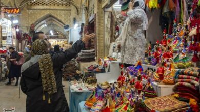 دفاع میراث فرهنگی از "ایزوگام بازار وکیل"