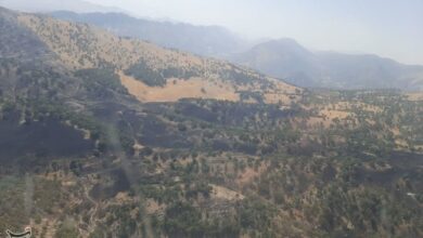 رقص 3 روزه آتش در جنگلهای شادگان/ 3 بالگرد اعزام شد