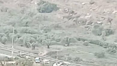 زخمیشدن ۳ صهیونیست در عملیات ضدصهیونیستی در نابلس