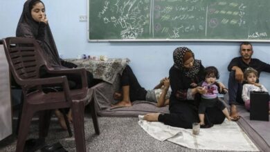 شهادت 8672 دانشآموز از آغاز جنگ غزه