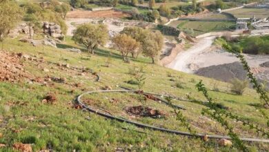 شیوهنامه ارائه خدمات زمین در محدوده شهرها و روستاها ابلاغ شد