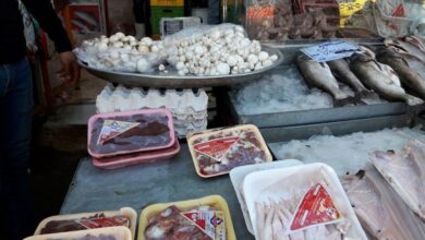 عرضه غیربهداشتی فرآوردههای دامی و مواد غذایی در سنندج!+فیلم