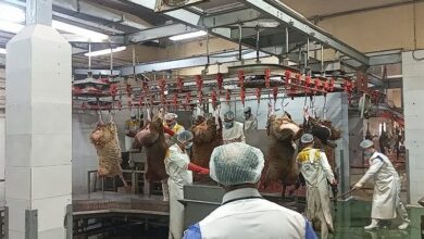 فسادستیزی در ایلام با بازگشت کشتارگاه به بیتالمال