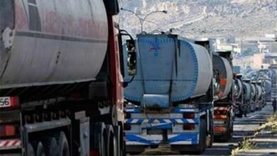 فلسفی خبر داد: سهمیه سوخت بخش کشاورزی به میزان قبل بازگشت