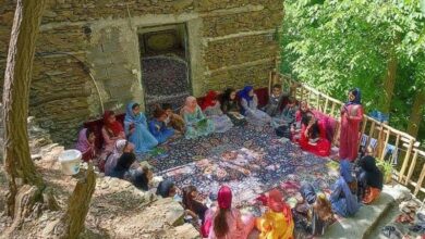 قصهها در خانهباغها؛ کتابخوانی در هوارنشینی+تصاویر