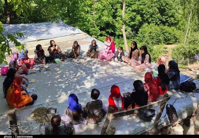 قصهها در خانهباغها؛ کتابخوانی در هوارنشینی+تصاویر