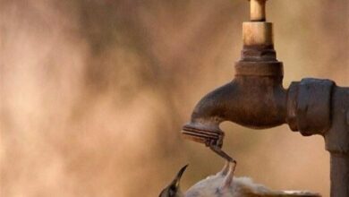 قطعی با برنامه آب در کهگیلویه و بویراحمد نداریم