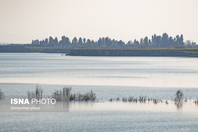 لزوم بازبینی در شورای عالی آب کشور